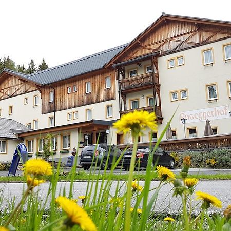 Отель Roseggerhof Санкт-Катрайн-ам-Хауэнштайн Экстерьер фото