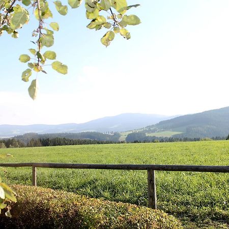 Отель Roseggerhof Санкт-Катрайн-ам-Хауэнштайн Экстерьер фото