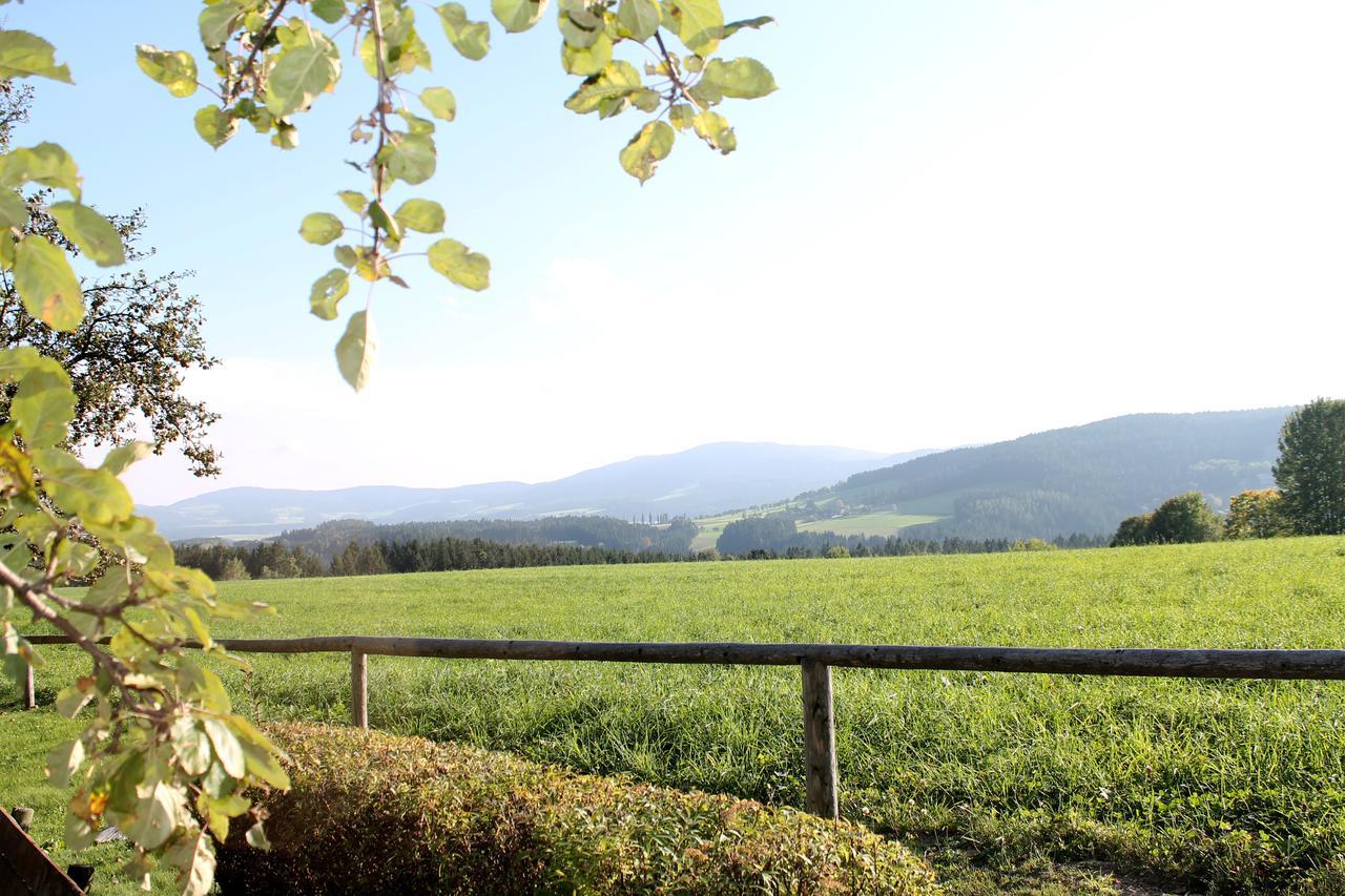 Отель Roseggerhof Санкт-Катрайн-ам-Хауэнштайн Экстерьер фото