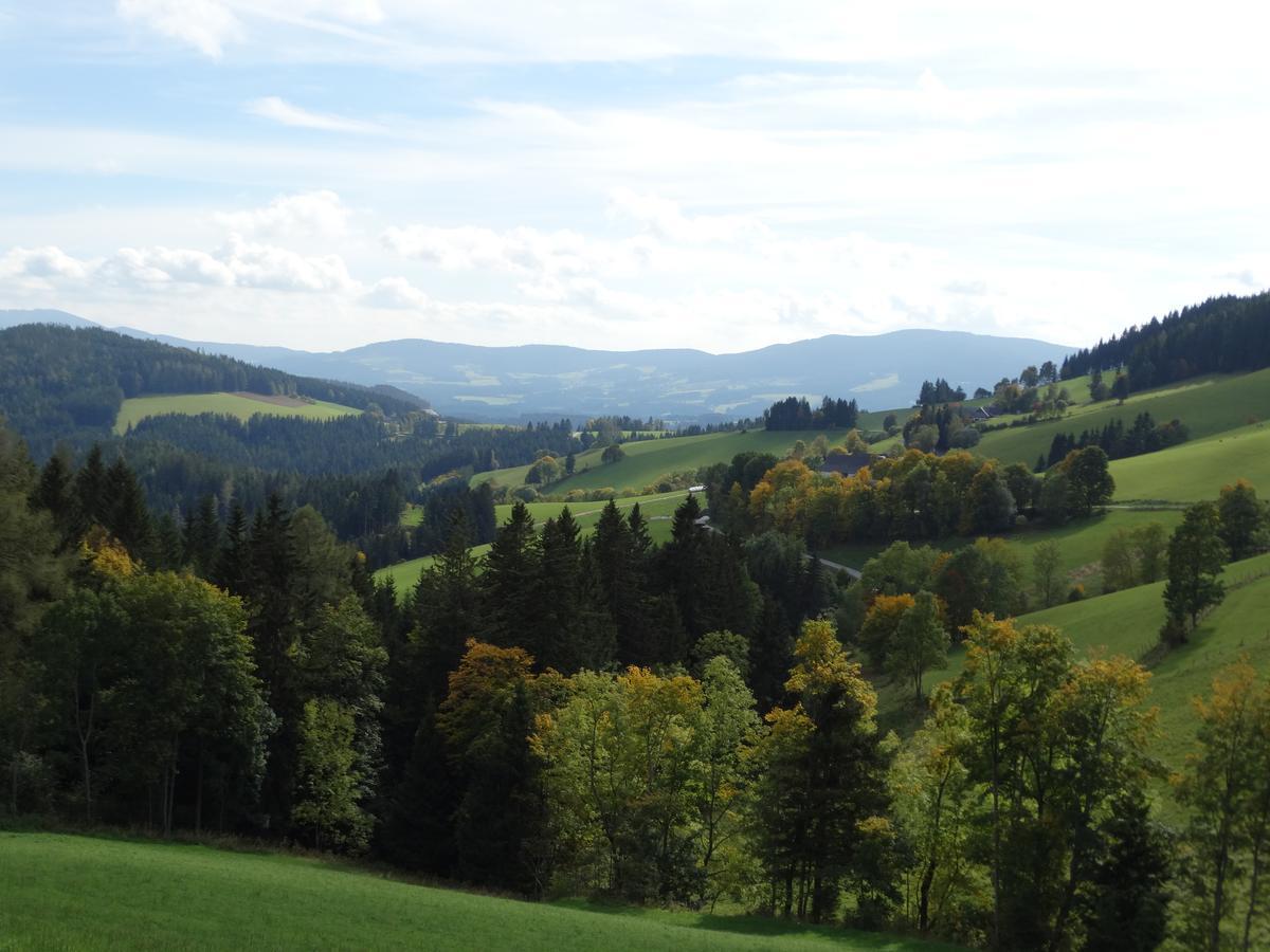 Отель Roseggerhof Санкт-Катрайн-ам-Хауэнштайн Экстерьер фото